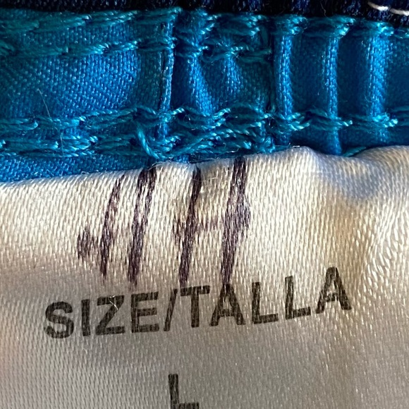 EUC Boys Size Large, Sea-Life Co. Blue Ombre & Stripes & Mesh Liner Swim Trunks - Picture 9 of 9